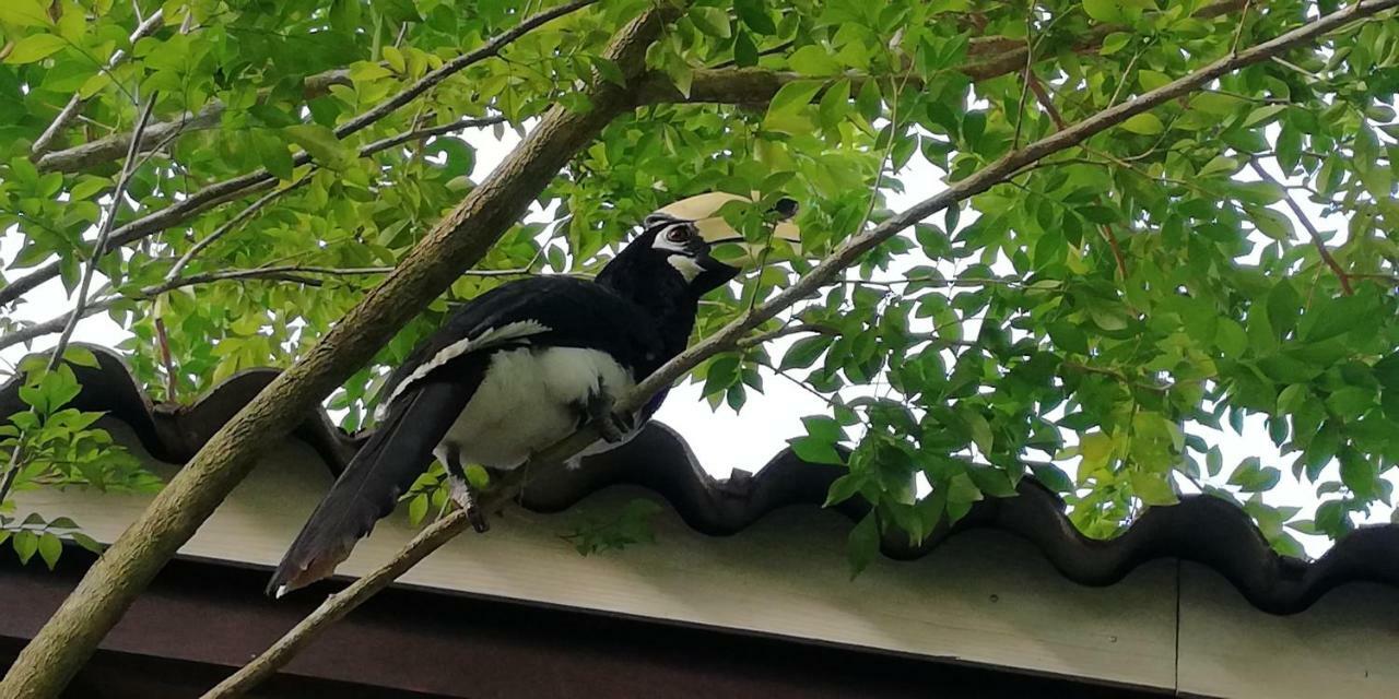 Ban Tidlay Hotel Ko Yao Noi Bagian luar foto